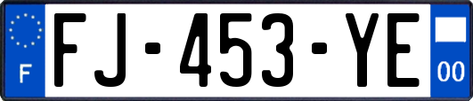 FJ-453-YE