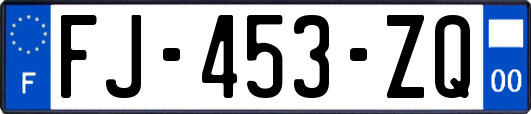 FJ-453-ZQ