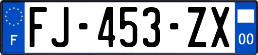 FJ-453-ZX