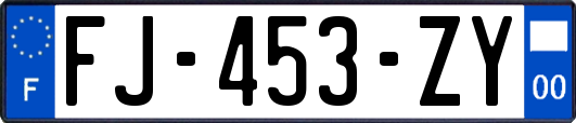 FJ-453-ZY