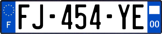 FJ-454-YE