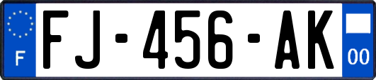 FJ-456-AK