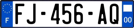 FJ-456-AQ