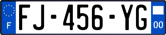 FJ-456-YG