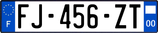 FJ-456-ZT