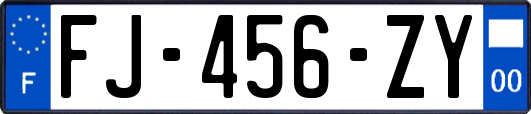 FJ-456-ZY