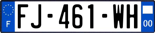 FJ-461-WH