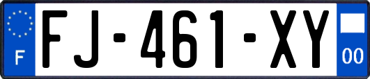 FJ-461-XY