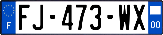 FJ-473-WX