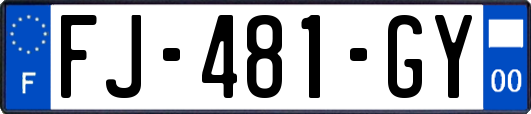 FJ-481-GY