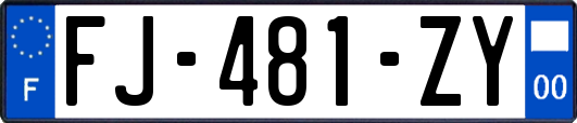 FJ-481-ZY