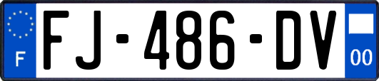 FJ-486-DV