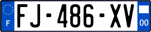 FJ-486-XV