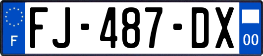 FJ-487-DX