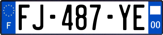 FJ-487-YE