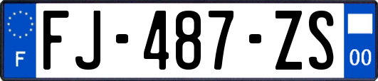 FJ-487-ZS