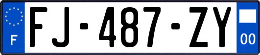 FJ-487-ZY