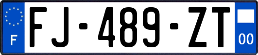 FJ-489-ZT