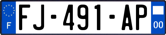 FJ-491-AP