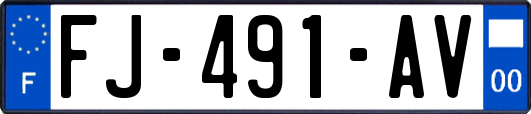 FJ-491-AV