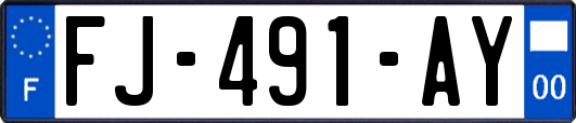 FJ-491-AY