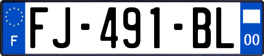 FJ-491-BL