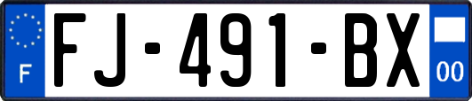 FJ-491-BX