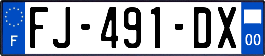 FJ-491-DX