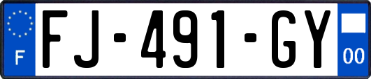 FJ-491-GY
