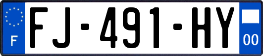 FJ-491-HY