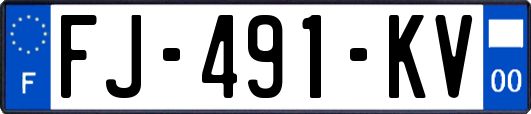 FJ-491-KV
