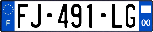 FJ-491-LG