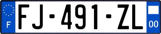 FJ-491-ZL