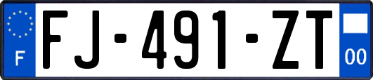 FJ-491-ZT