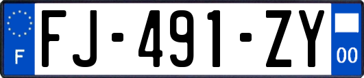 FJ-491-ZY