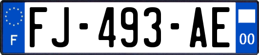 FJ-493-AE