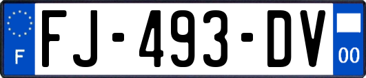 FJ-493-DV