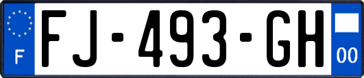 FJ-493-GH