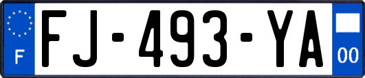 FJ-493-YA