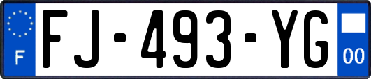 FJ-493-YG