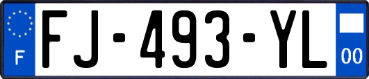 FJ-493-YL