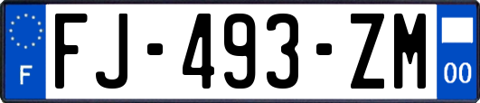 FJ-493-ZM