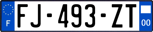 FJ-493-ZT