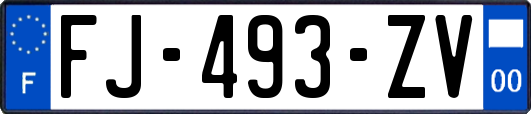 FJ-493-ZV