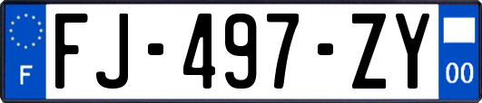 FJ-497-ZY