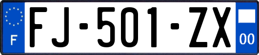 FJ-501-ZX