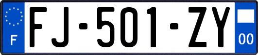 FJ-501-ZY