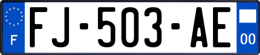 FJ-503-AE