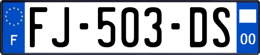 FJ-503-DS
