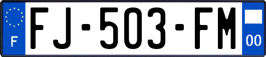 FJ-503-FM